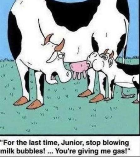 FB_IMG_1629323878635