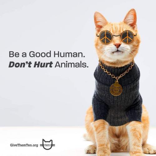 FB_IMG_1629895668681