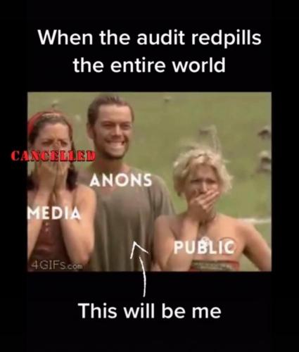 audit me