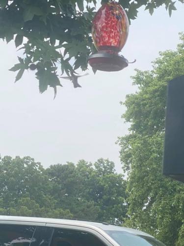 13:51:28 GMT-0500 (CDT).image