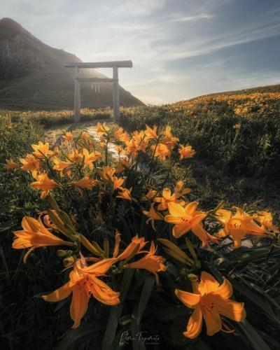 240809749_4047641575345769_2757141199260999878_n