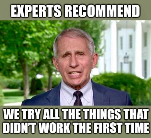 experts1