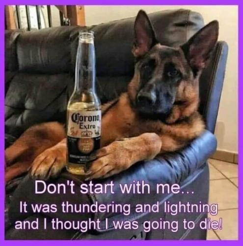 08:04:05 GMT+0100 (BST)