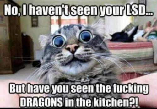 06:36:46 GMT-0500 (CDT)