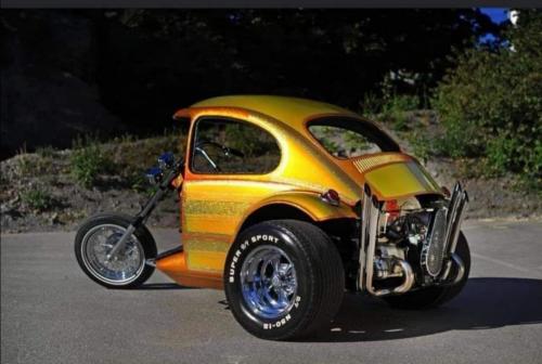 bike trike bug
