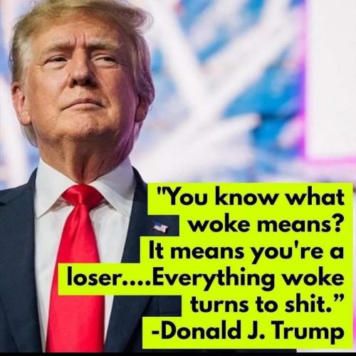trump woke loser