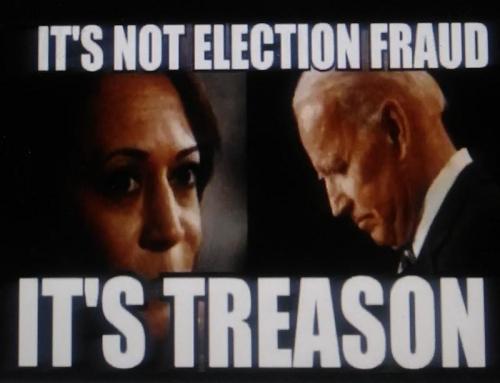 it's not election fraud, it's treason