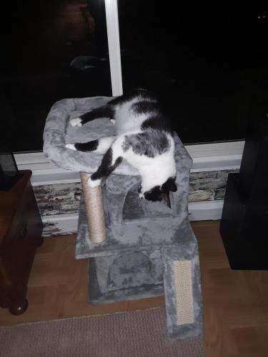 13:52:23 GMT-0400 (EDT)