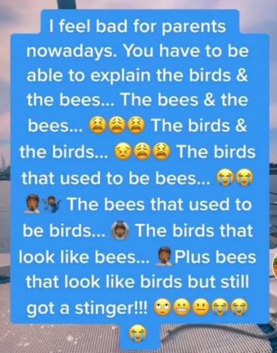 birds and bees c