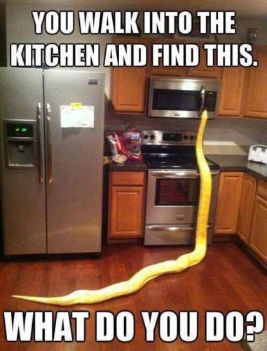 18:12:55 GMT-0700 (PDT)