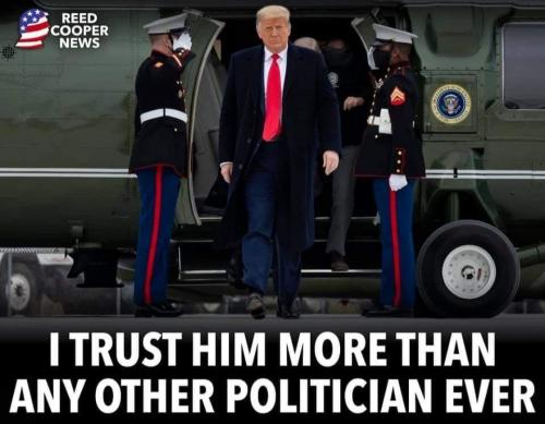 trump trust