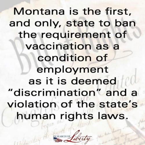 FB_IMG_1630079661717