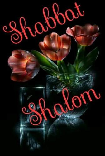 FB_IMG_1611011977434