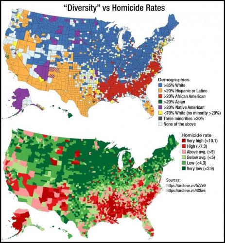 Homicide Diversity
