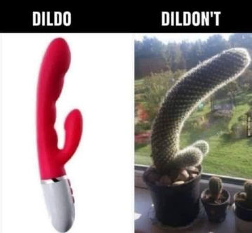 dildont