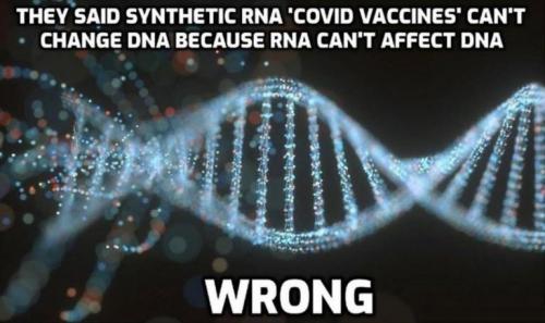 vaccine299
