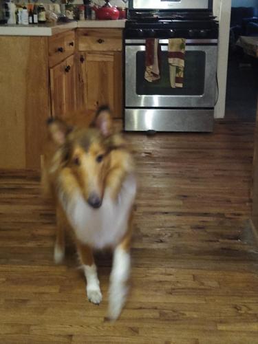 IMG_20210826_194002856