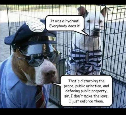 18:02:47 GMT-0700 (PDT)