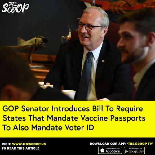 231198804_1464582610624542_173800874130733780_n