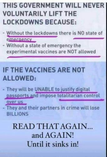 FB_IMG_1629529181473