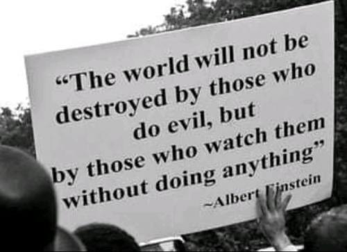 239224244_1489313011425965_4014293040795861025_n