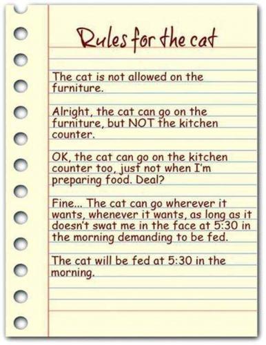 FB_IMG_1628882605728