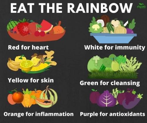 veg eat color chart