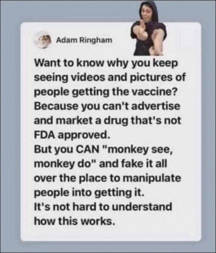 vaccine319