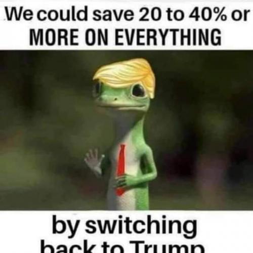 IMG_20210819_153321_801