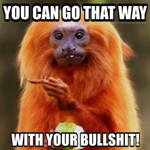 FB_IMG_1628130975616