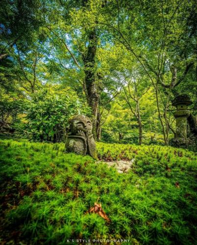 240467374_381262500036425_377060350591285770_n