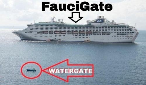 faucigate