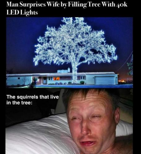 FB_IMG_1629141235203