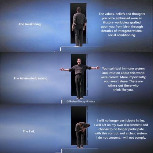 223167085_2592244424416089_6534994688958460463_n