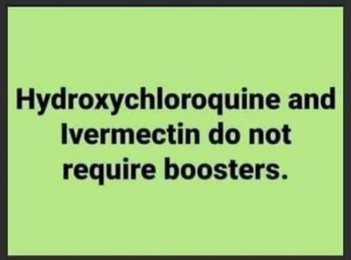 FB_IMG_1629757295646