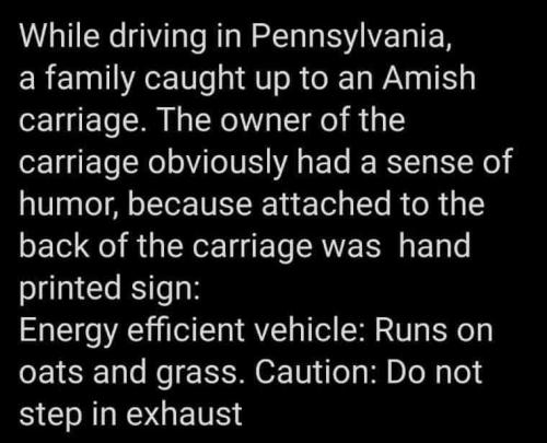 FB_IMG_1629201835058