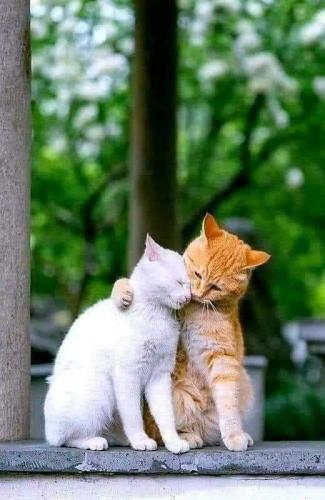 11:04:22 GMT-0400 (EDT)