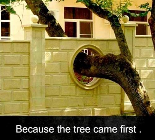 FB_IMG_1629386675450