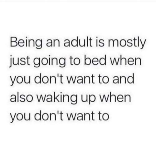 FB_IMG_1628483416421