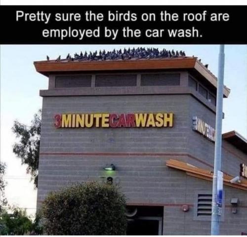 232196255_3123965077831500_4342965826002838785_n