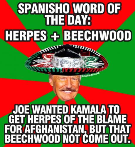 IMG_20210817_131549_878