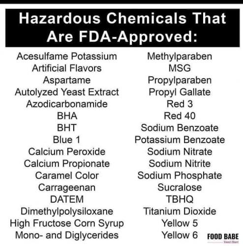 FB_IMG_1629773295819