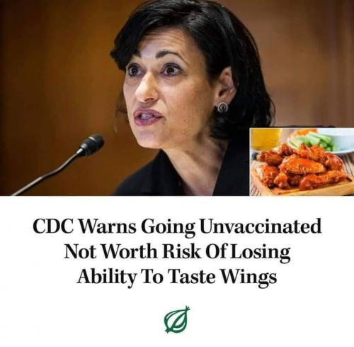 FB_IMG_1630041736196