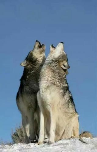 232768559_201444045283839_254487136687431403_n