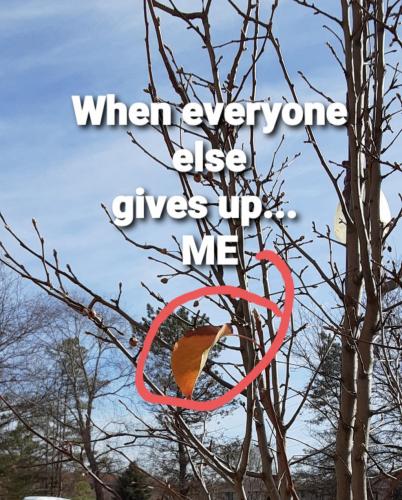 01:09:08 GMT-0500 (CDT)