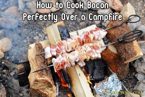 10334307_276347902552949_6727067453096360047_n