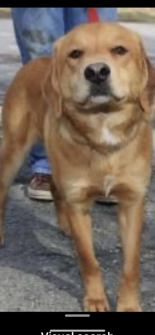 00:21:41 GMT-0400 (EDT).image