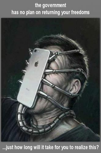 scamdemic17