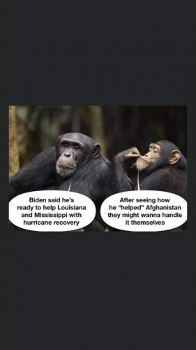 20:02:02 GMT-0500 (CDT).image