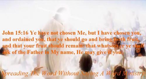 20901502_1504647002950759_4680729460401881453_o